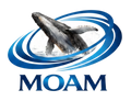 MOAM
